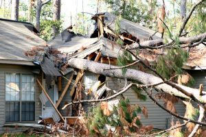 What to Do If Your Property is Affected by Storm Damage