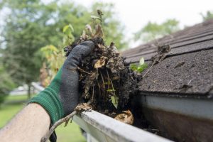 Five Helpful Roof Maintenance Tips to Make Your Roof Last